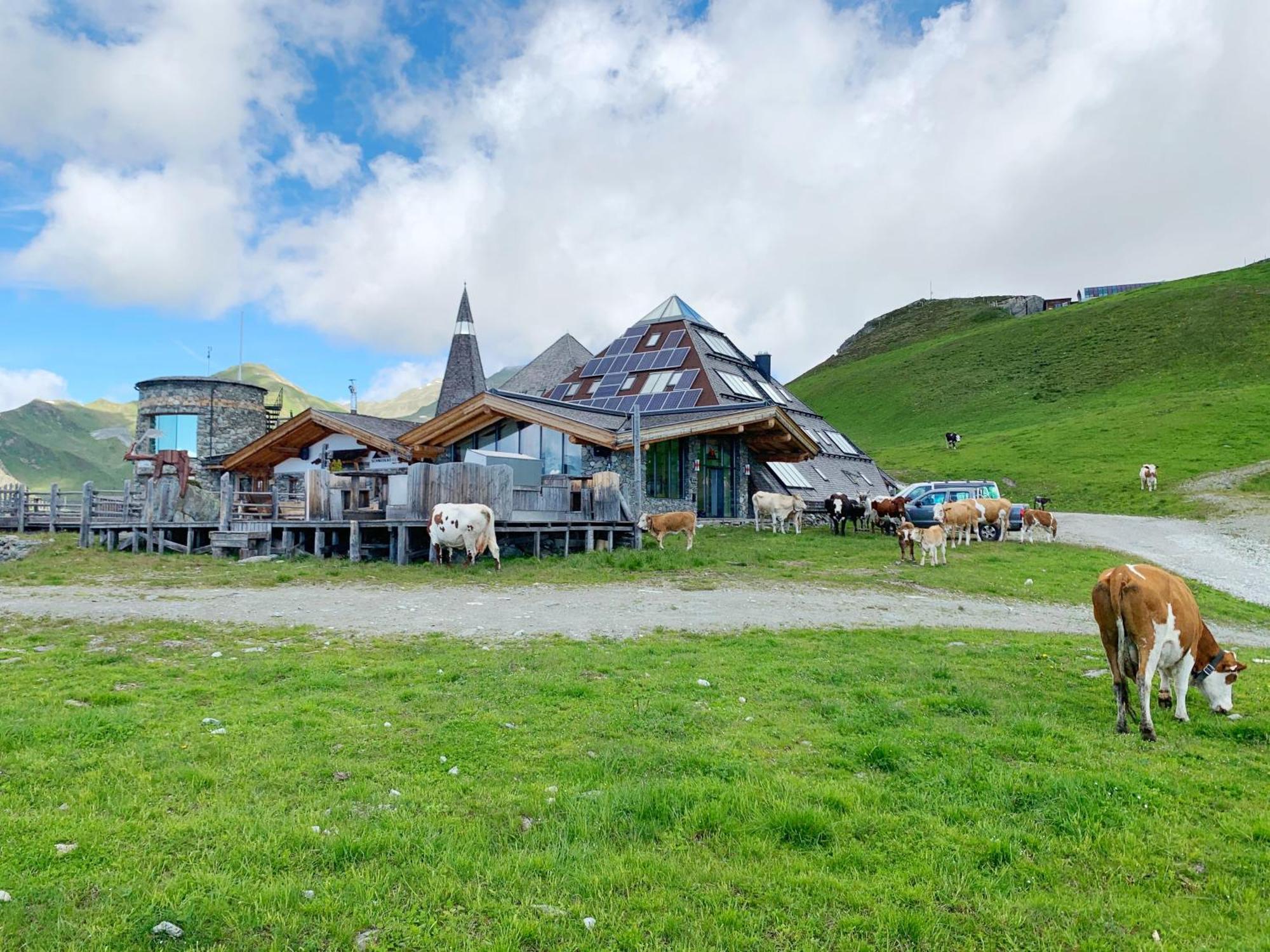 Schneekarhuette Hotel ไมย์อาโฮเฟิน ภายนอก รูปภาพ